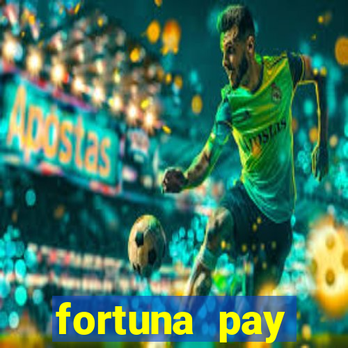 fortuna pay consultoria financeira ltda