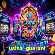 usina guarani tereos tanabi