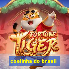 coelinha do brasil