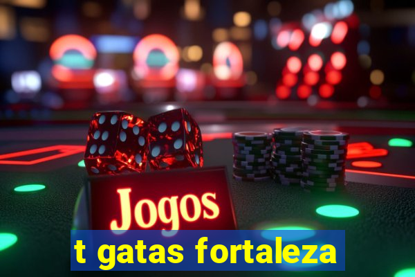 t gatas fortaleza