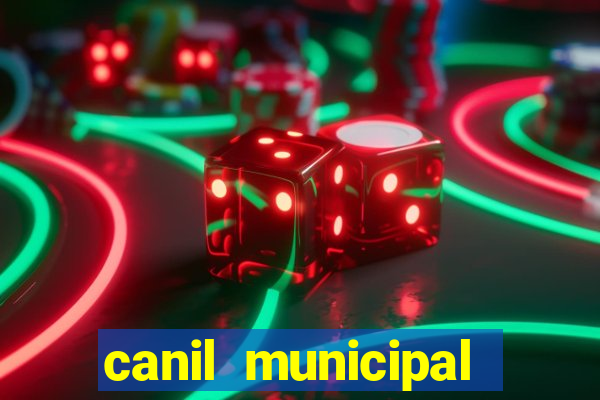 canil municipal porto alegre