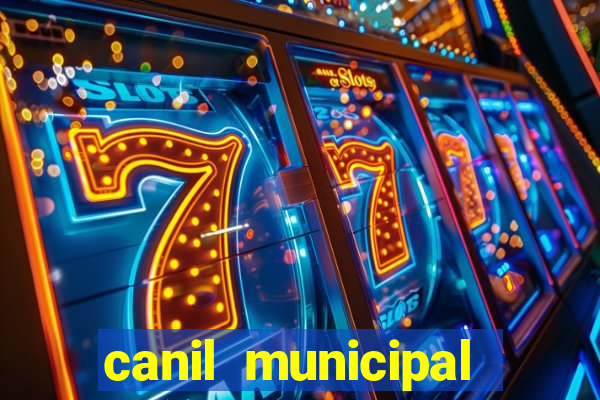 canil municipal porto alegre