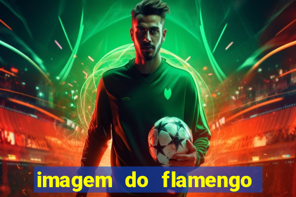 imagem do flamengo para perfil