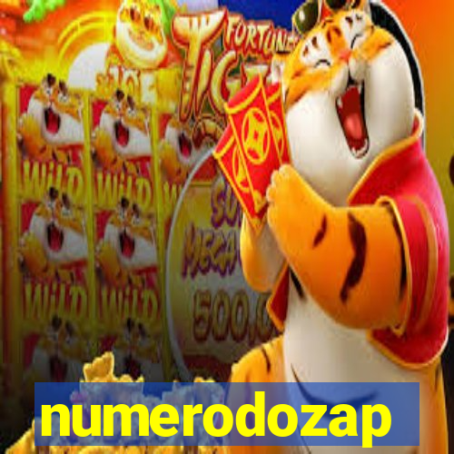 numerodozap