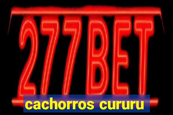 cachorros cururu