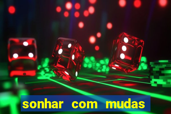 sonhar com mudas de plantas