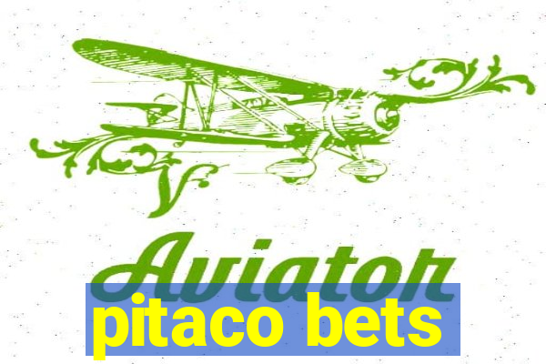 pitaco bets