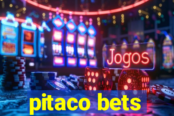 pitaco bets