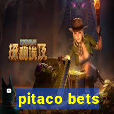 pitaco bets