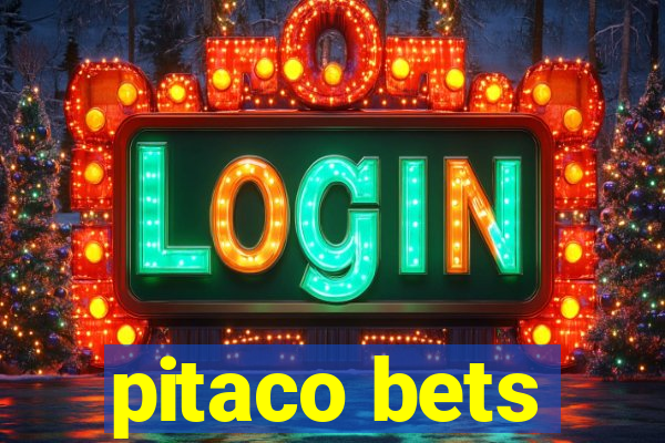 pitaco bets