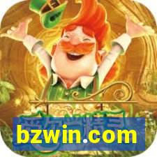 bzwin.com