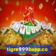 tigre999bapp.com