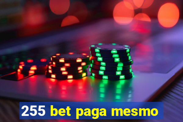 255 bet paga mesmo