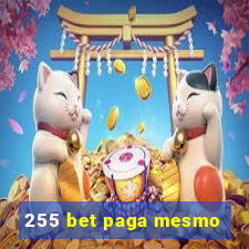 255 bet paga mesmo