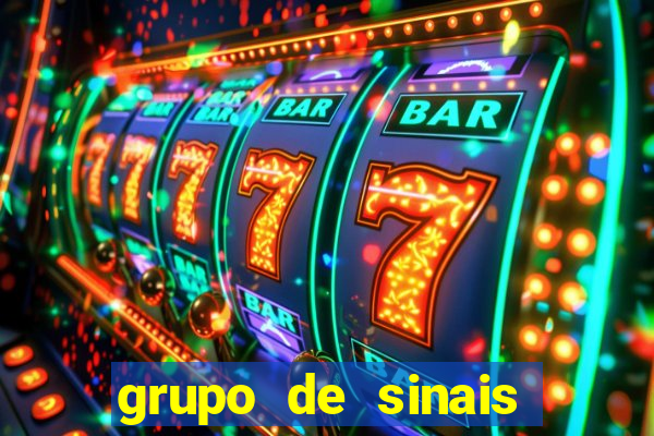 grupo de sinais trader telegram