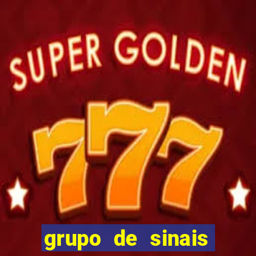 grupo de sinais trader telegram