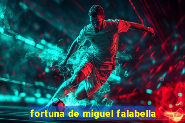 fortuna de miguel falabella