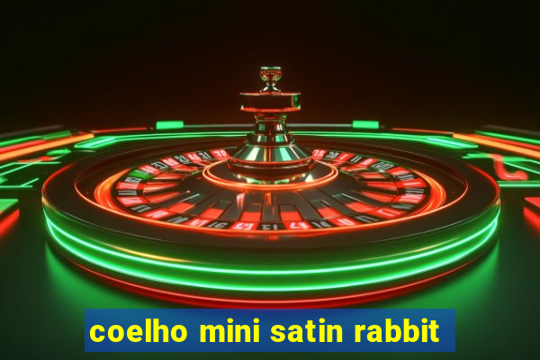 coelho mini satin rabbit