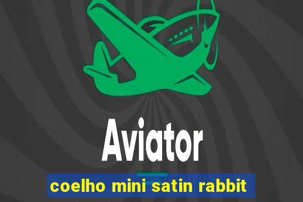 coelho mini satin rabbit