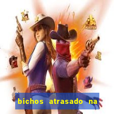 bichos atrasado na loteria dos sonhos