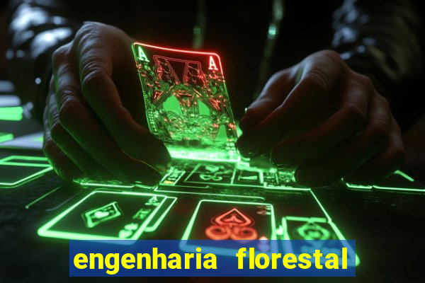 engenharia florestal ead cruzeiro do sul