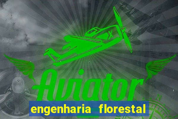 engenharia florestal ead cruzeiro do sul