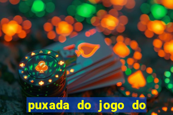 puxada do jogo do bicho da sueli