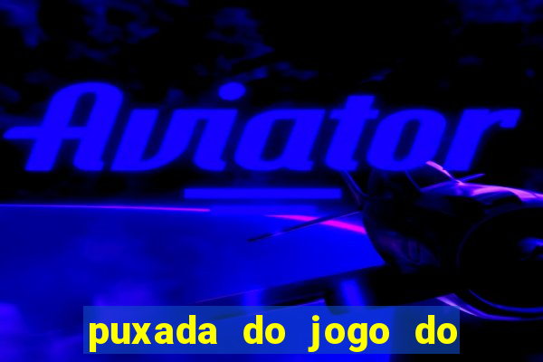 puxada do jogo do bicho da sueli