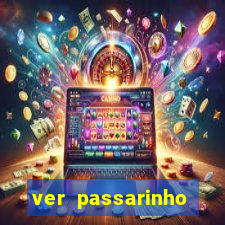 ver passarinho morto significado espiritual