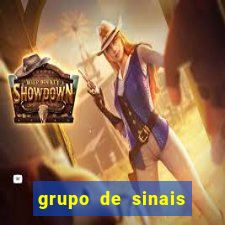 grupo de sinais fortune rabbit