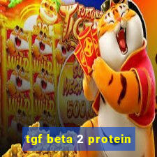 tgf beta 2 protein