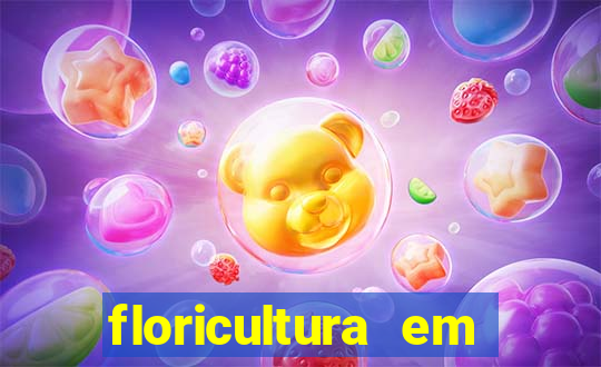 floricultura em porto alegre