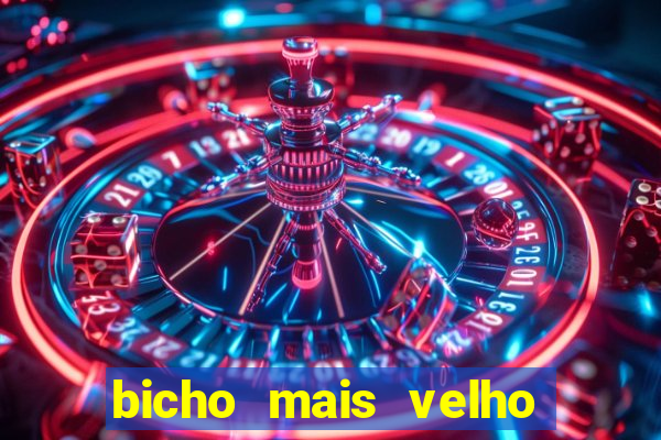 bicho mais velho da loteria dos sonhos