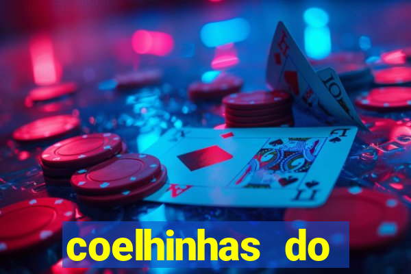 coelhinhas do brasil acompanhantes