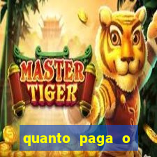 quanto paga o jungle fight