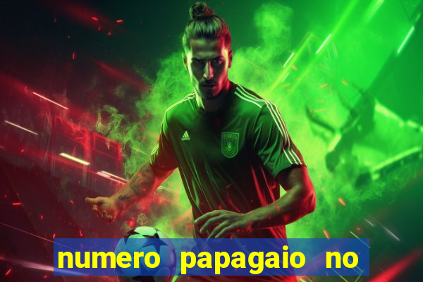 numero papagaio no jogo do bicho