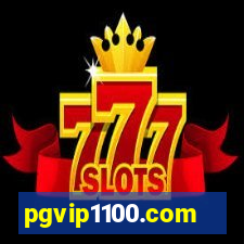 pgvip1100.com