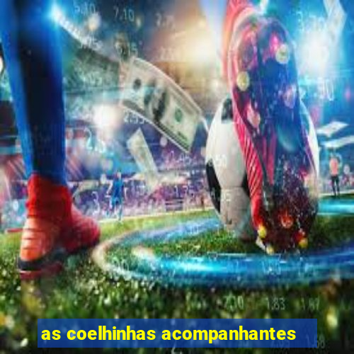 as coelhinhas acompanhantes