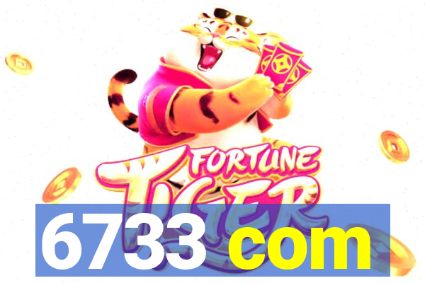 6733 com