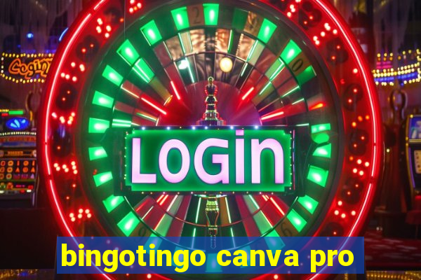 bingotingo canva pro