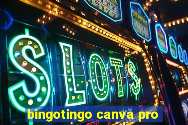 bingotingo canva pro