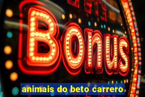 animais do beto carrero