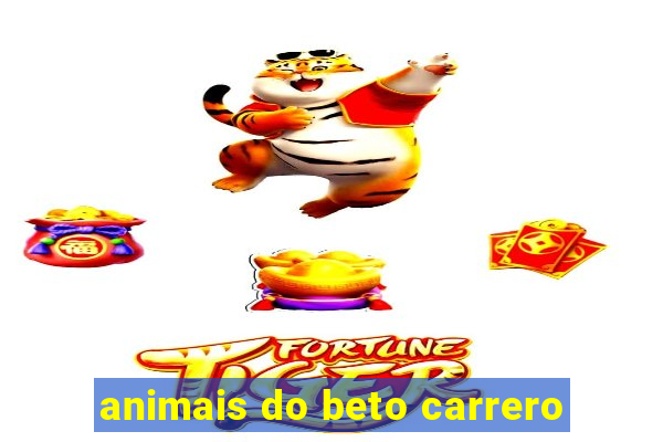 animais do beto carrero