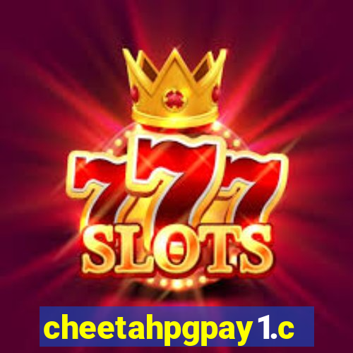 cheetahpgpay1.com