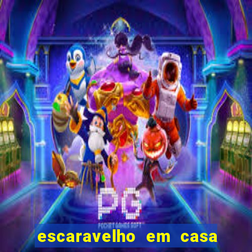 escaravelho em casa significado espiritual