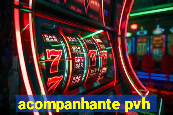 acompanhante pvh