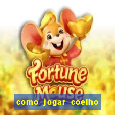 como jogar coelho da fortuna