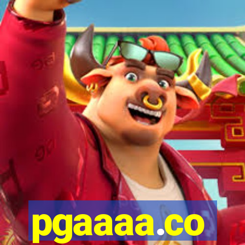 pgaaaa.co