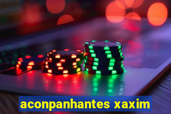 aconpanhantes xaxim