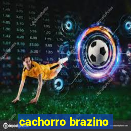 cachorro brazino